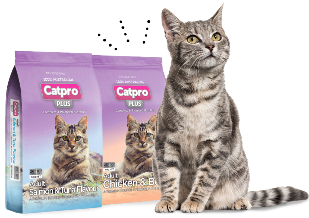 Pet Food Products Paw Pantry pet-food-products-paw-pantry