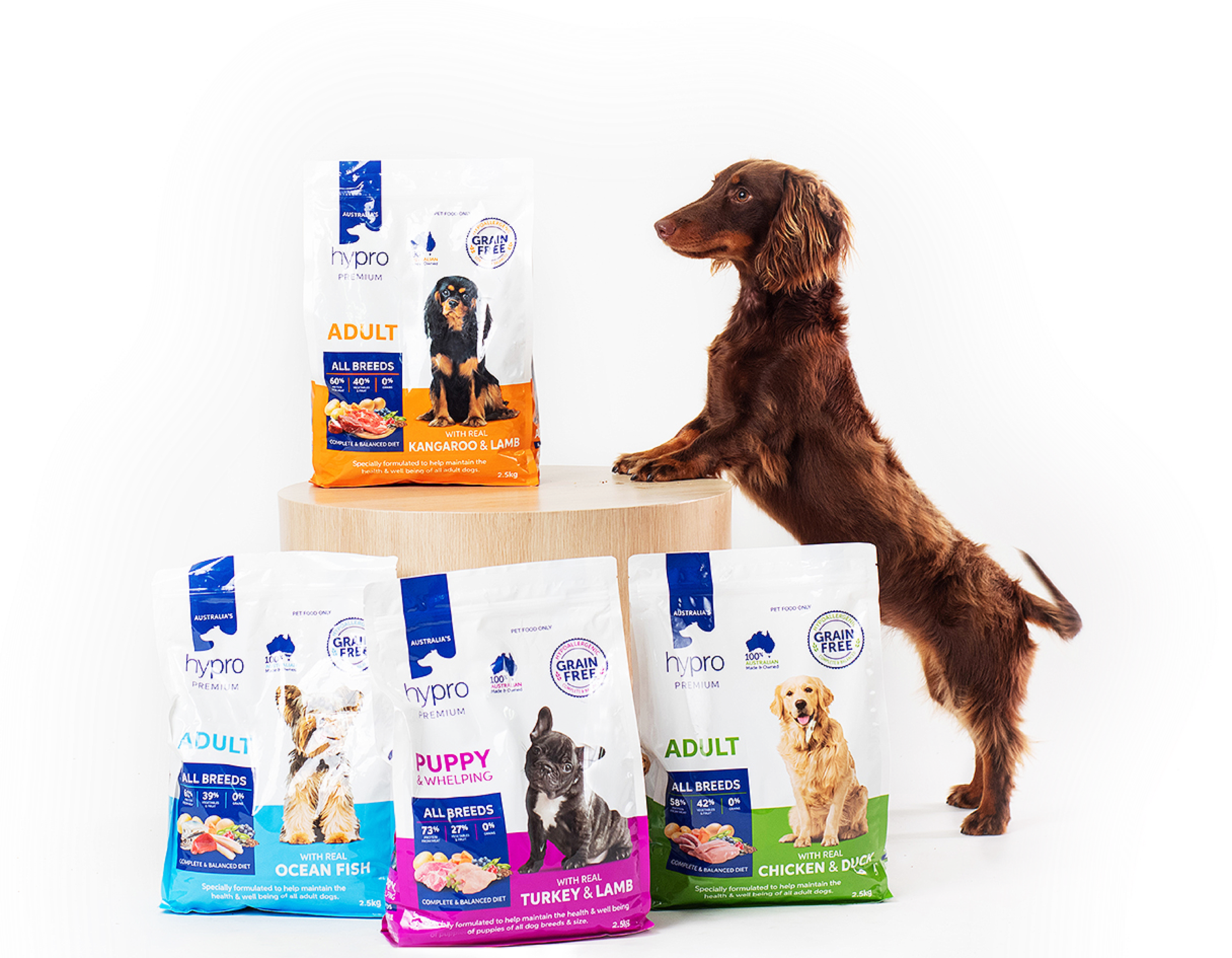 paw-pantry-auto-delivery-pet-food