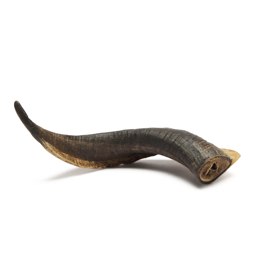 Bark & Beyond Goat Horn Dog Treats