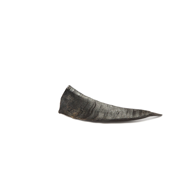 Bark & Beyond Goat Horn Dog Treats