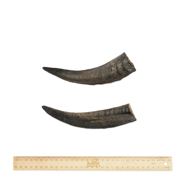 Bark & Beyond Goat Horn Dog Treats